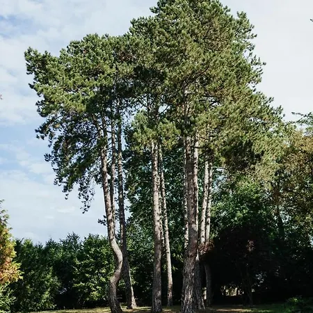 Bed & Breakfast Manoir Francois Du Tilleul - Reims - 4*