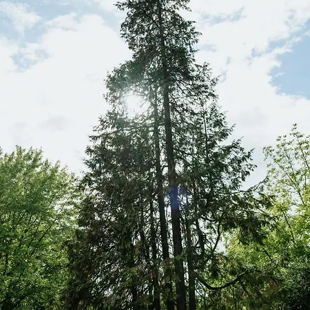 Manoir Francois Du Tilleul - Reims -